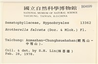 登錄號:B00004699藏品圖，第2張