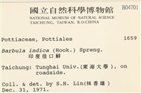 印度扭口蘚藏品圖，第2張