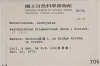 毛扭蘚藏品圖，第2張