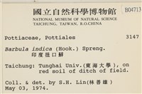 印度扭口蘚藏品圖，第2張