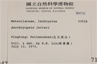 登錄號:B00004716藏品圖，第2張