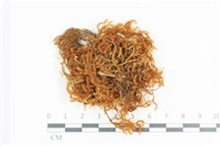 登錄號:B00004716藏品圖，第1張