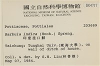 印度扭口蘚藏品圖，第2張