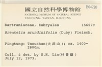 大熱澤蘚藏品圖，第2張