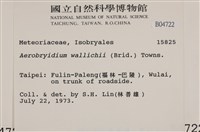 登錄號:B00004722藏品圖，第2張