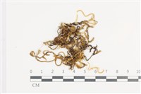 登錄號:B00004726藏品圖，第1張