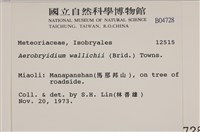 登錄號:B00004728藏品圖，第2張