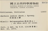 印度扭口蘚藏品圖，第2張