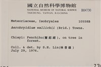 登錄號:B00004730藏品圖，第2張