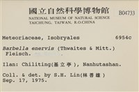 登錄號:B00004733藏品圖，第2張