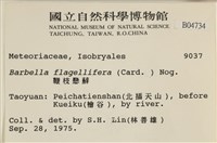 鞭枝懸蘚藏品圖，第2張