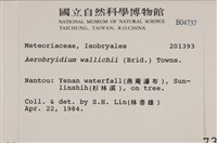 登錄號:B00004737藏品圖，第2張