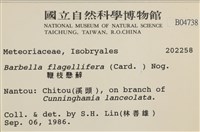 鞭枝懸蘚藏品圖，第2張