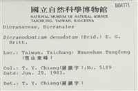 青毛苔藏品圖，第2張