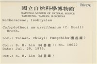 登錄號:B00004778藏品圖，第2張