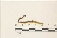 登錄號:B00004778藏品圖，第1張