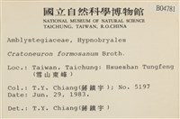 登錄號:B00004781藏品圖，第2張