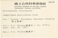 登錄號:B00004786藏品圖，第2張