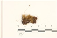 登錄號:B00004786藏品圖，第1張