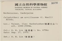 登錄號:B00004790藏品圖，第2張