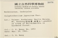 登錄號:B00004796藏品圖，第2張