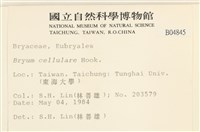 登錄號:B00004845藏品圖，第2張