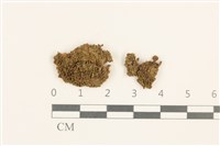 登錄號:B00004845藏品圖，第1張