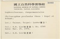 登錄號:B00004868藏品圖，第2張