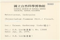 登錄號:B00004869藏品圖，第2張