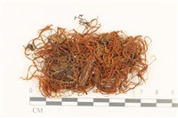 登錄號:B00004870藏品圖，第1張