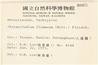 登錄號:B00004871藏品圖，第2張