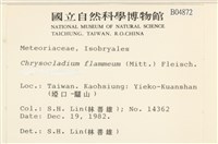 登錄號:B00004872藏品圖，第2張