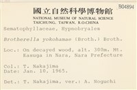 登錄號:B00004894藏品圖，第2張