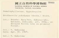 登錄號:B00004895藏品圖，第2張