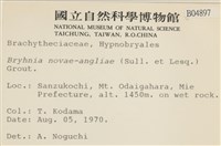 燕尾蘚藏品圖，第2張