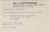 登錄號:B00004899藏品圖，第2張