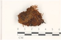 登錄號:B00004899藏品圖，第1張