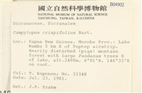 登錄號:B00004902藏品圖，第2張