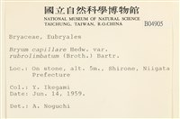 登錄號:B00004905藏品圖，第2張