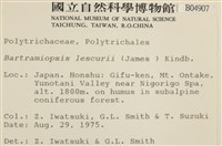 登錄號:B00004907藏品圖，第2張