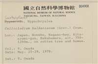 腐木蘚藏品圖，第2張