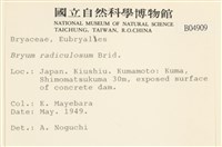 登錄號:B00004909藏品圖，第2張