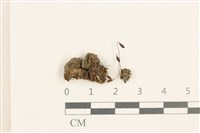 登錄號:B00004909藏品圖，第1張