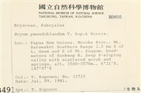 登錄號:B00004910藏品圖，第2張