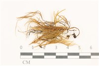 登錄號:B00004916藏品圖，第1張