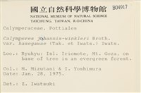 登錄號:B00004917藏品圖，第2張