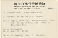 登錄號:B00004918藏品圖，第2張