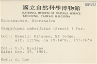 登錄號:B00004923藏品圖，第2張