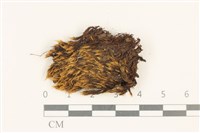 登錄號:B00004923藏品圖，第1張