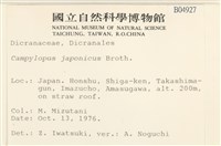 日本曲柄蘚藏品圖，第2張